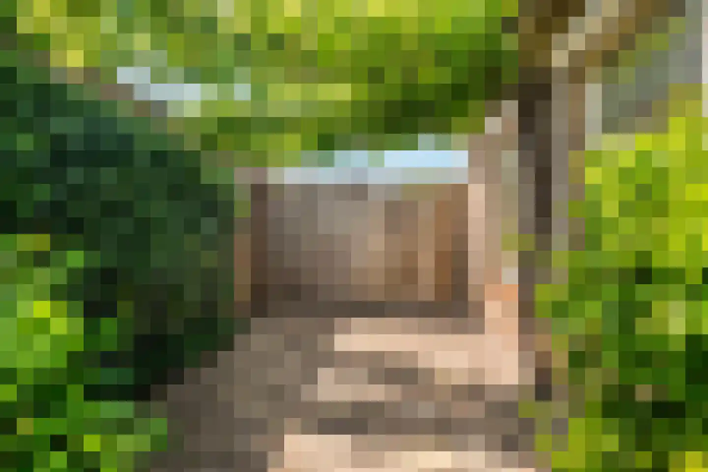 Torenlaan 57 Zuid-Beijerland thumbnail 51