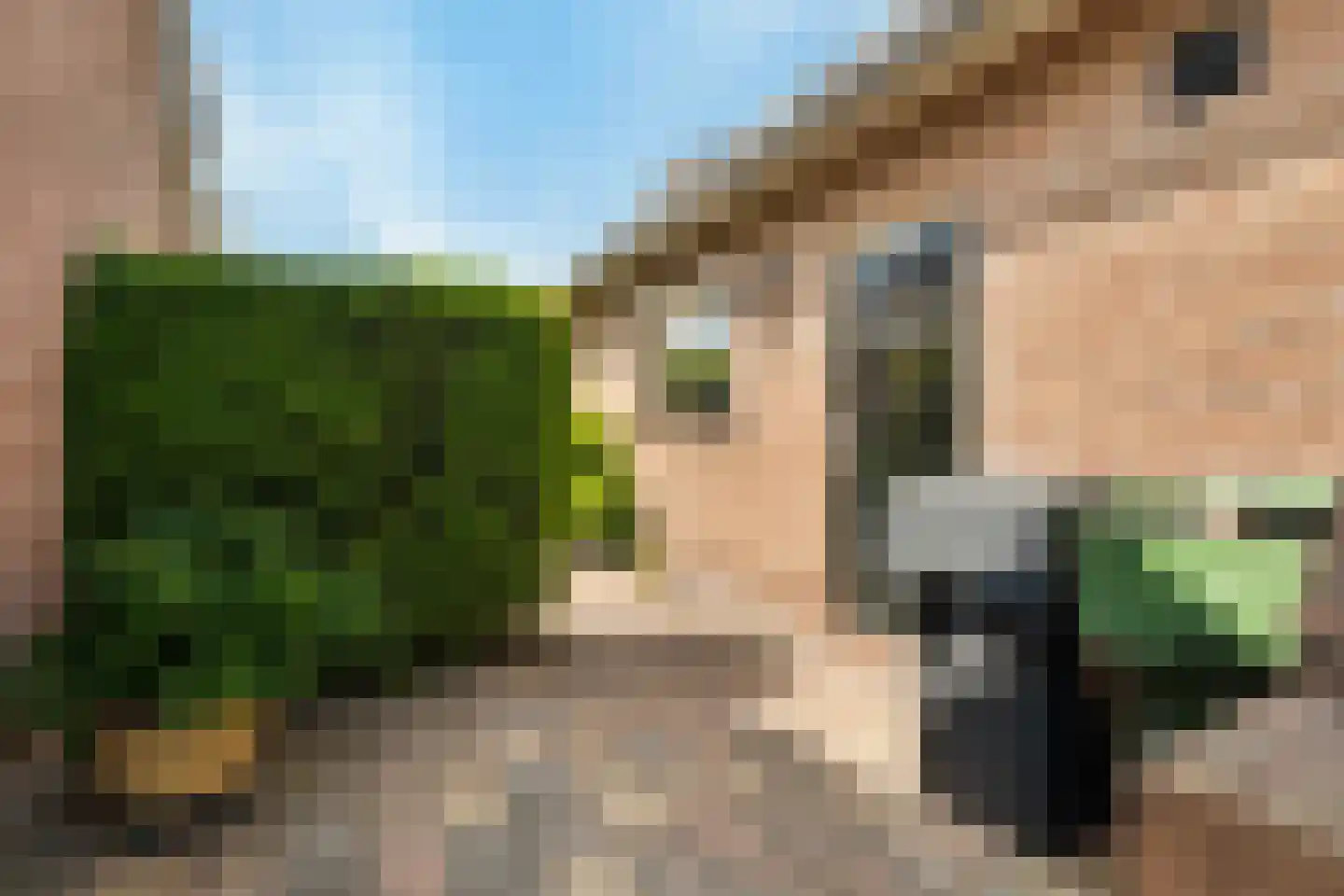 Torenlaan 57 Zuid-Beijerland thumbnail 53