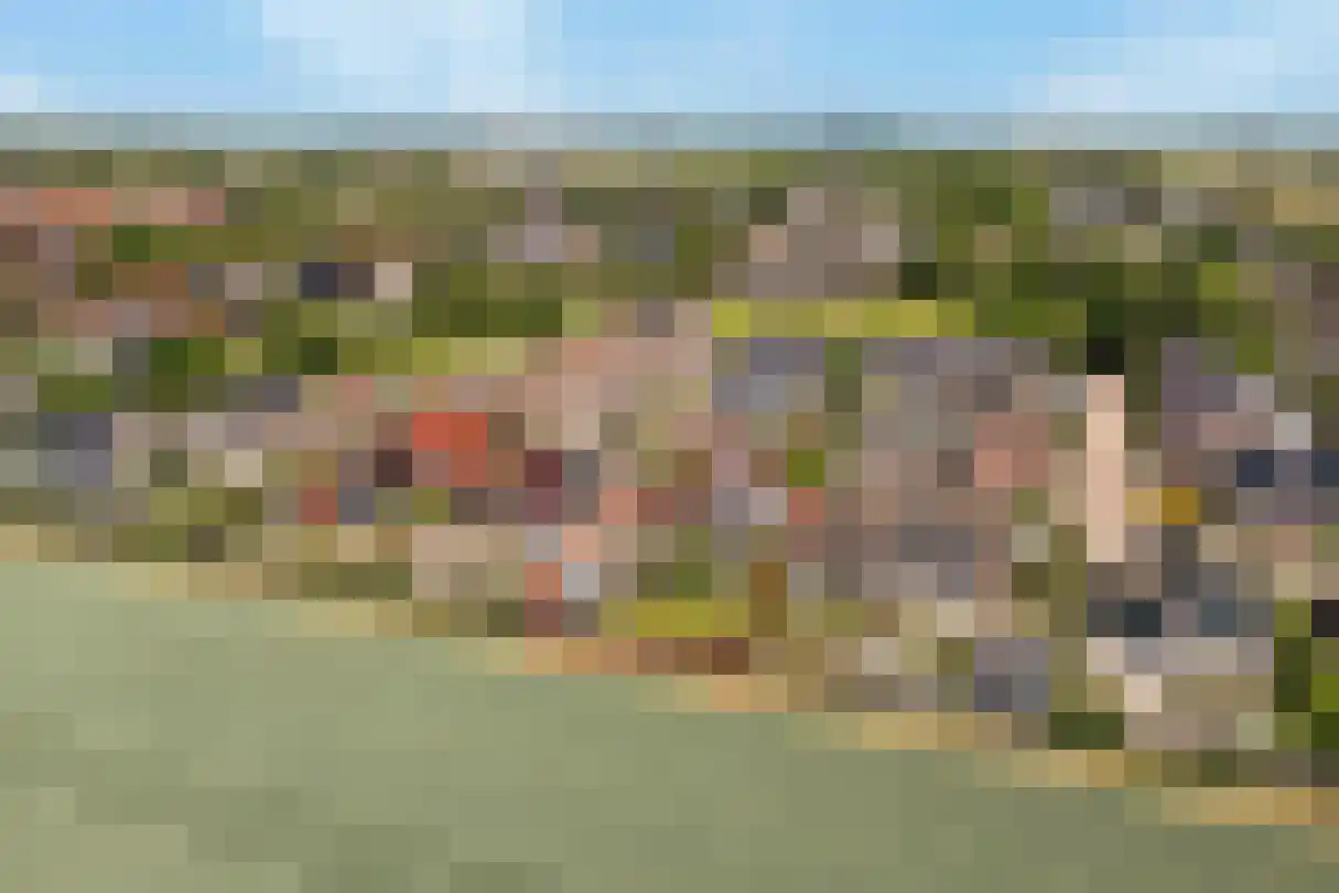 Torenlaan 57 Zuid-Beijerland thumbnail 58