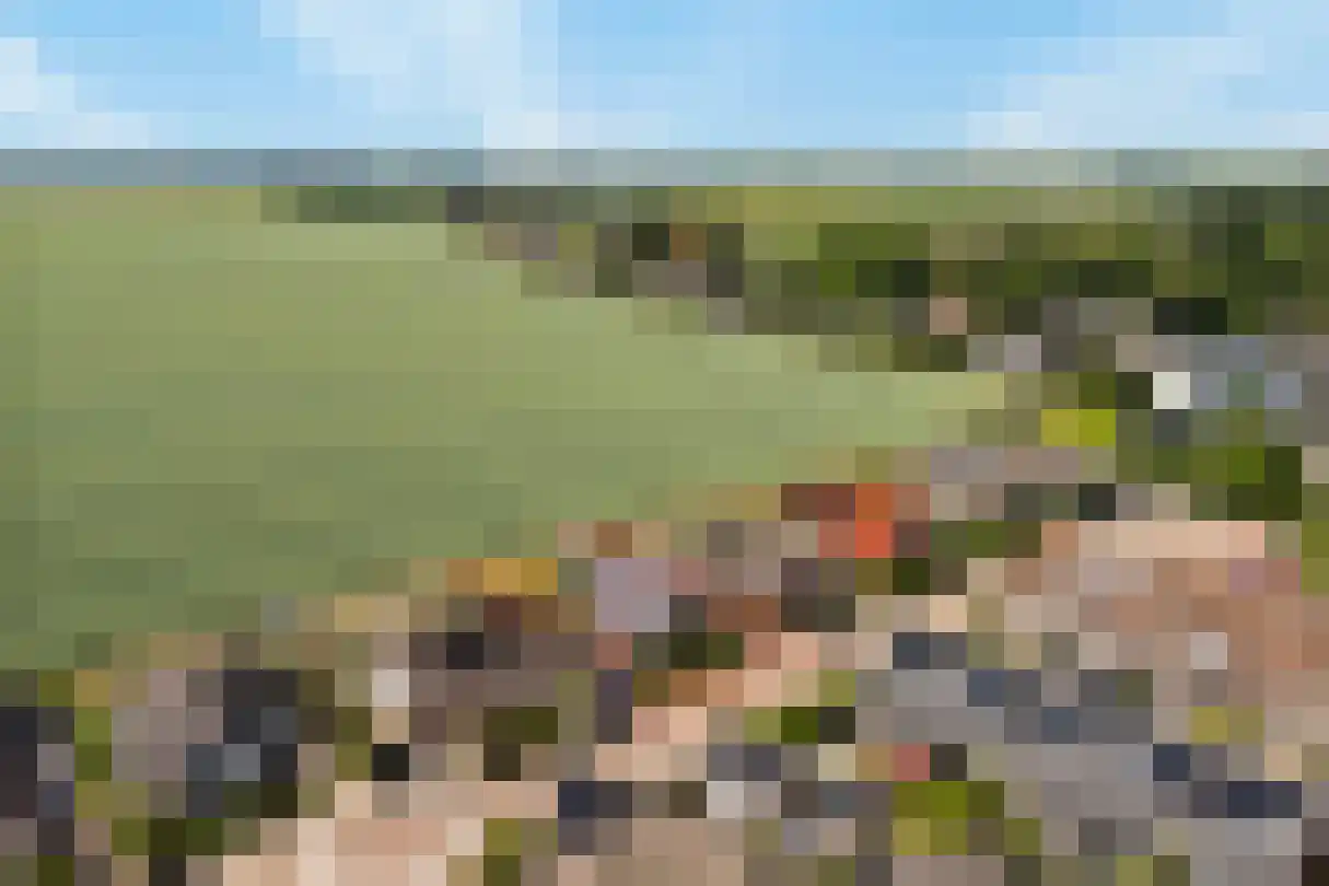 Torenlaan 57 Zuid-Beijerland thumbnail 59
