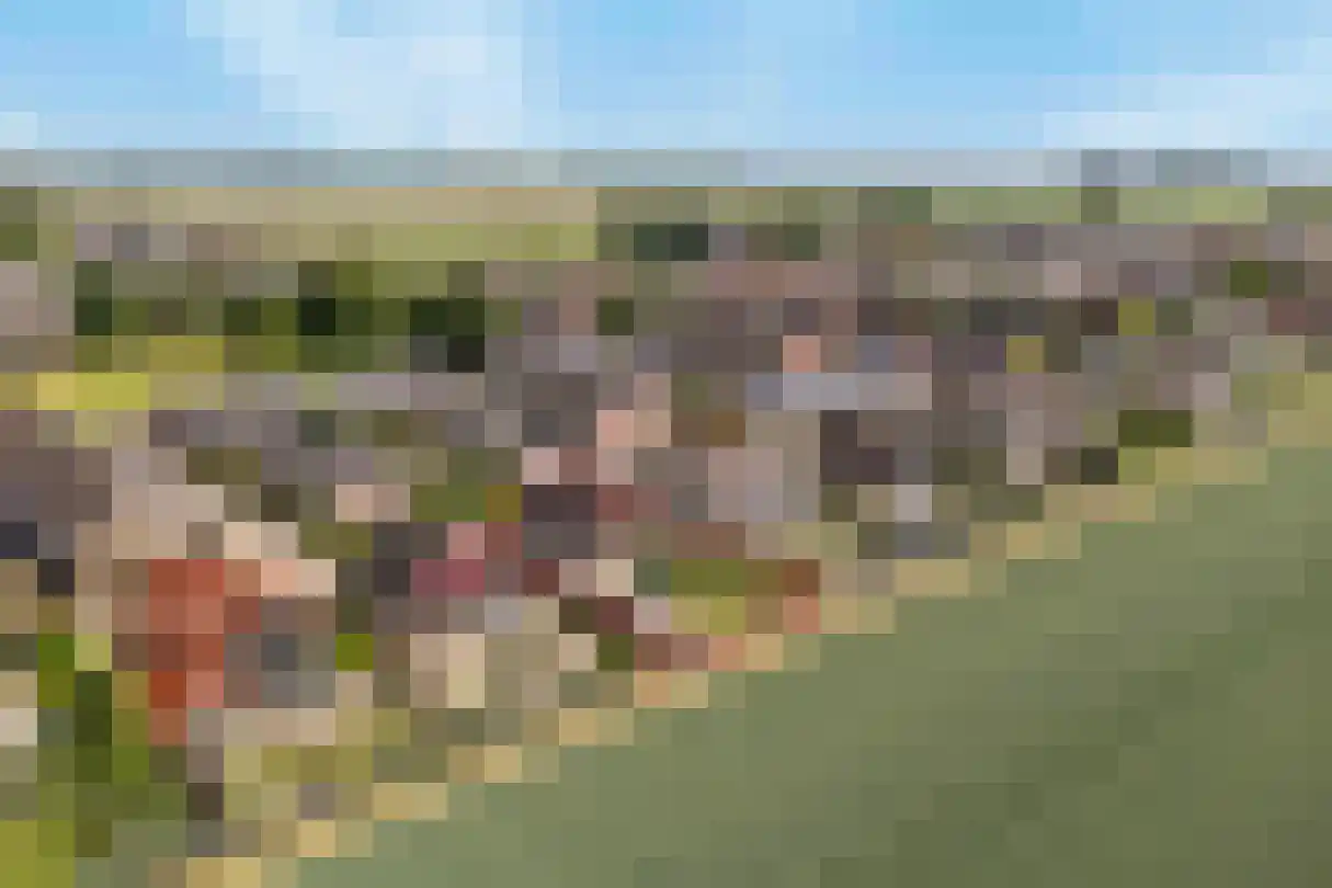 Torenlaan 57 Zuid-Beijerland thumbnail 60
