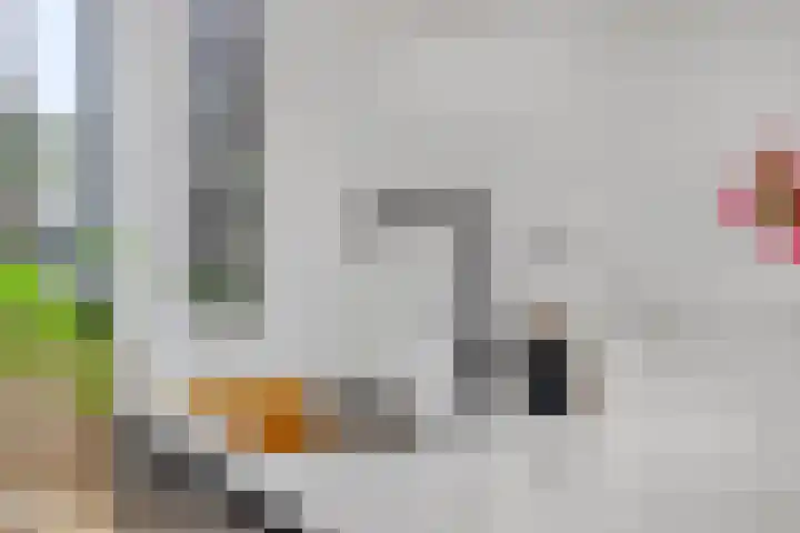 Torenlaan 6 A Hilversum thumbnail 12