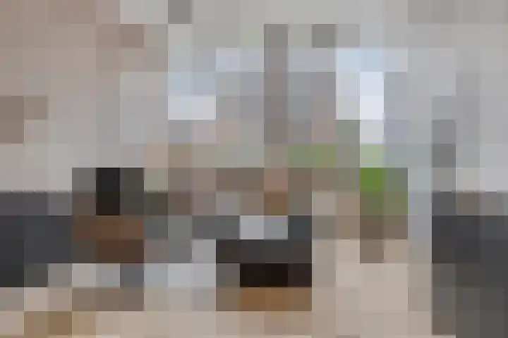Torenlaan 6 A Hilversum thumbnail 4