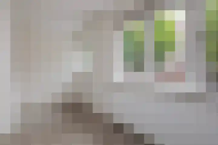 Torenlaan 6 A Zeist thumbnail 10