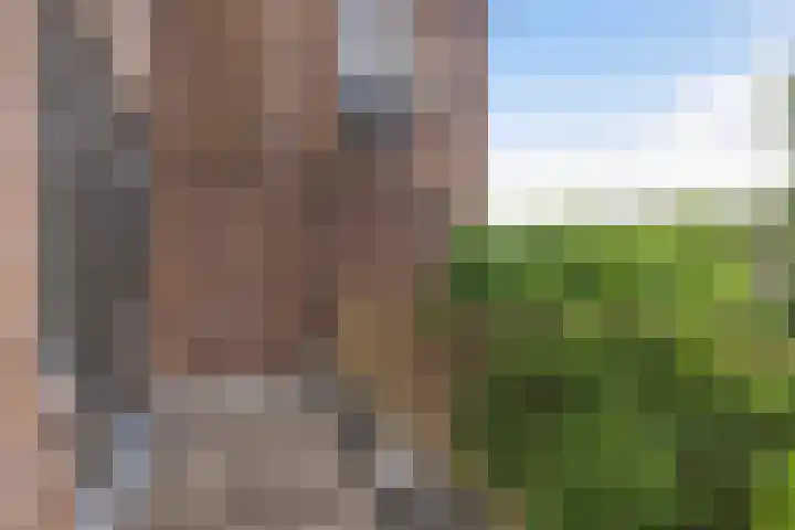 Torenlaan 6 A Zeist thumbnail 15