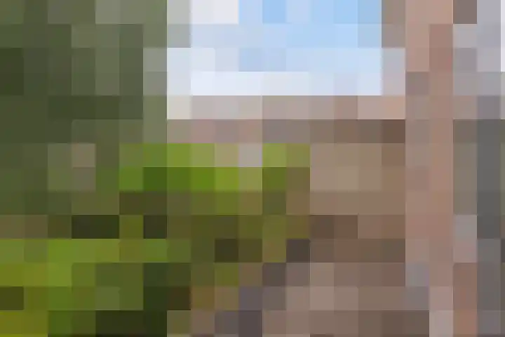 Torenlaan 6 A Zeist thumbnail 16
