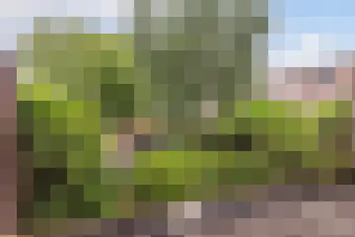 Torenlaan 6 A Zeist thumbnail 24