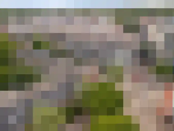 Torenlaan 6 A Zeist thumbnail 29
