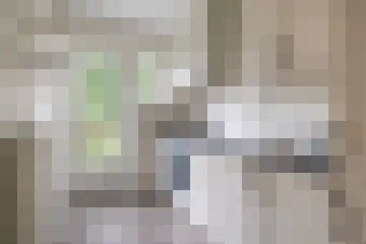 Torenlaan 6 A Zeist thumbnail 4