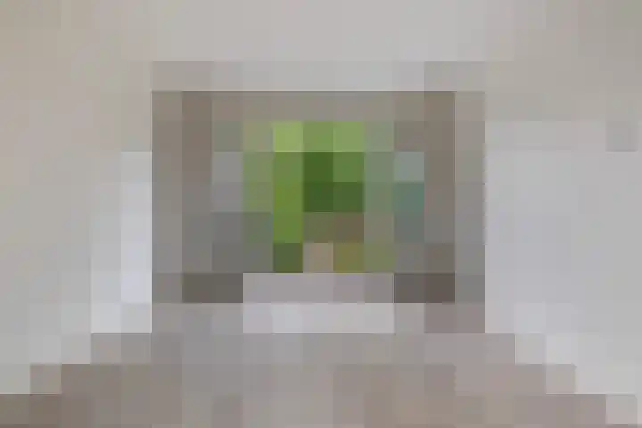 Torenlaan 6 A Zeist thumbnail 7