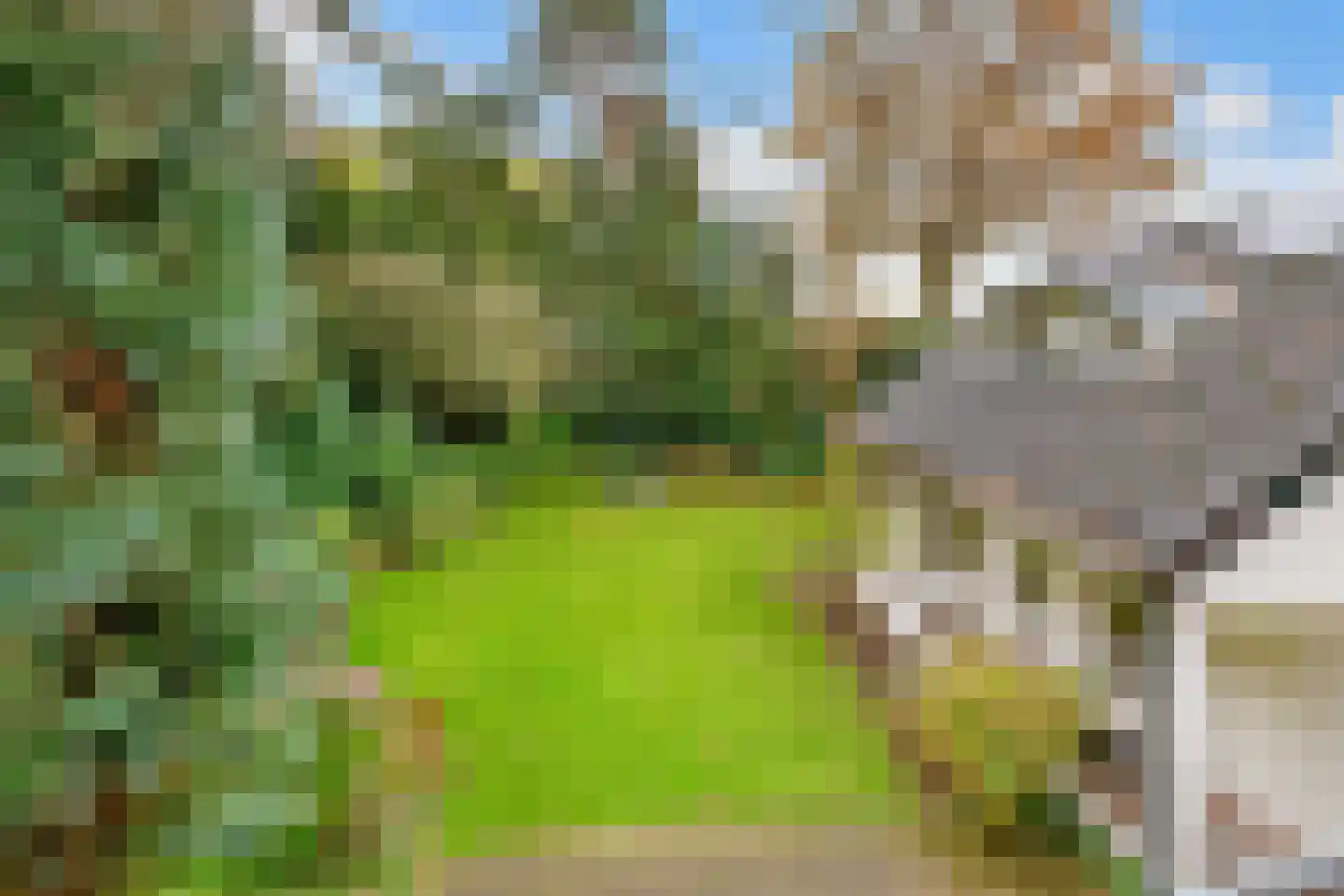 Torenlaan 6 Doorn thumbnail 18