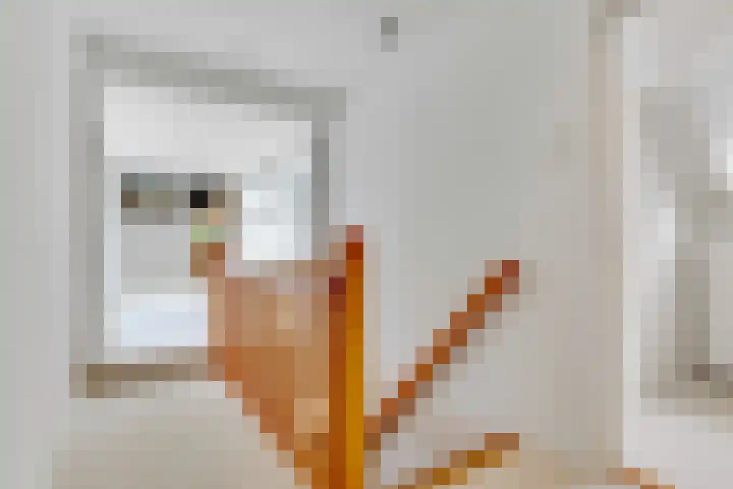 Torenlaan 6 Doorn thumbnail 31
