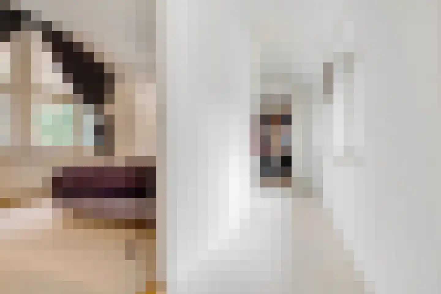 Torenlaan 6 Doorn thumbnail 36
