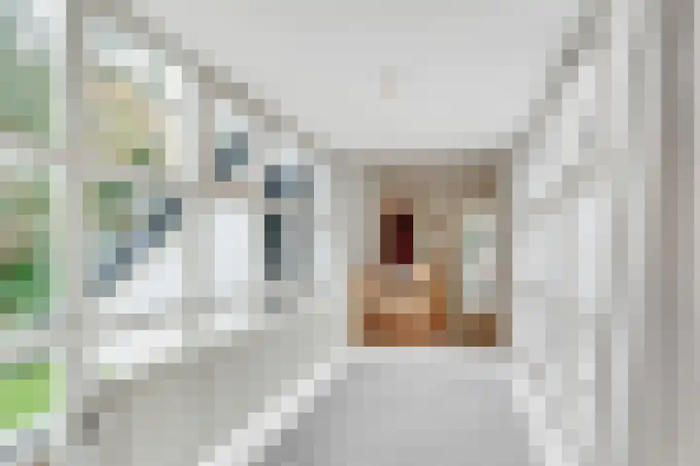 Torenlaan 6 Doorn thumbnail 48
