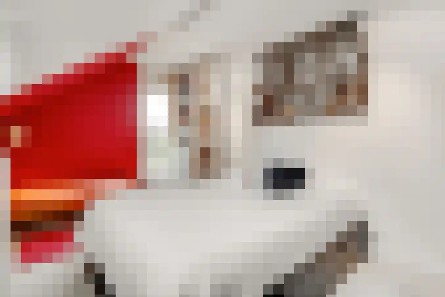Torenlaan 6 Doorn thumbnail 50