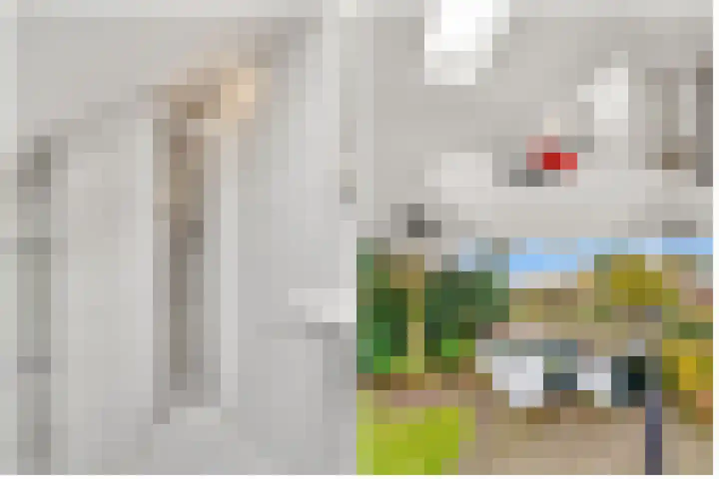 Torenlaan 6 Doorn thumbnail 54