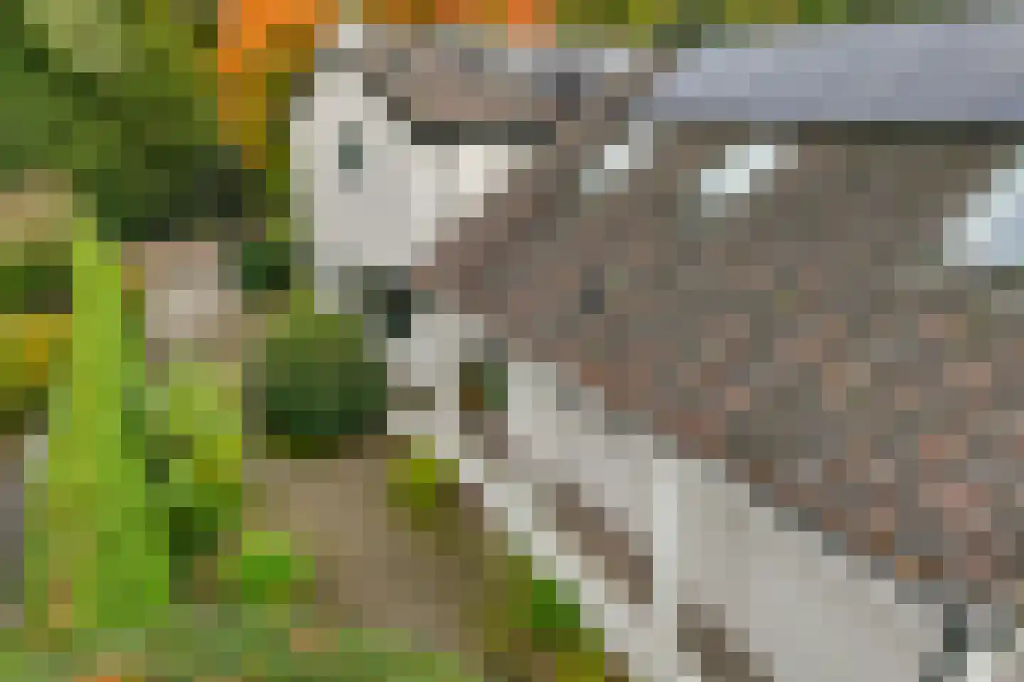 Torenlaan 6 Doorn thumbnail 57