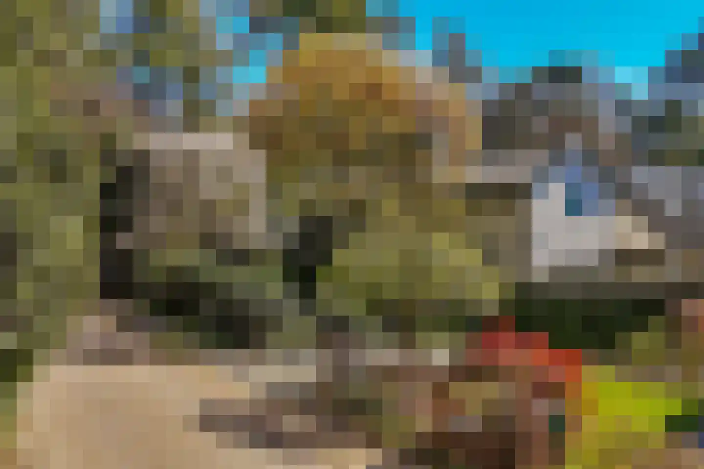 Torenlaan 6 Doorn thumbnail 63