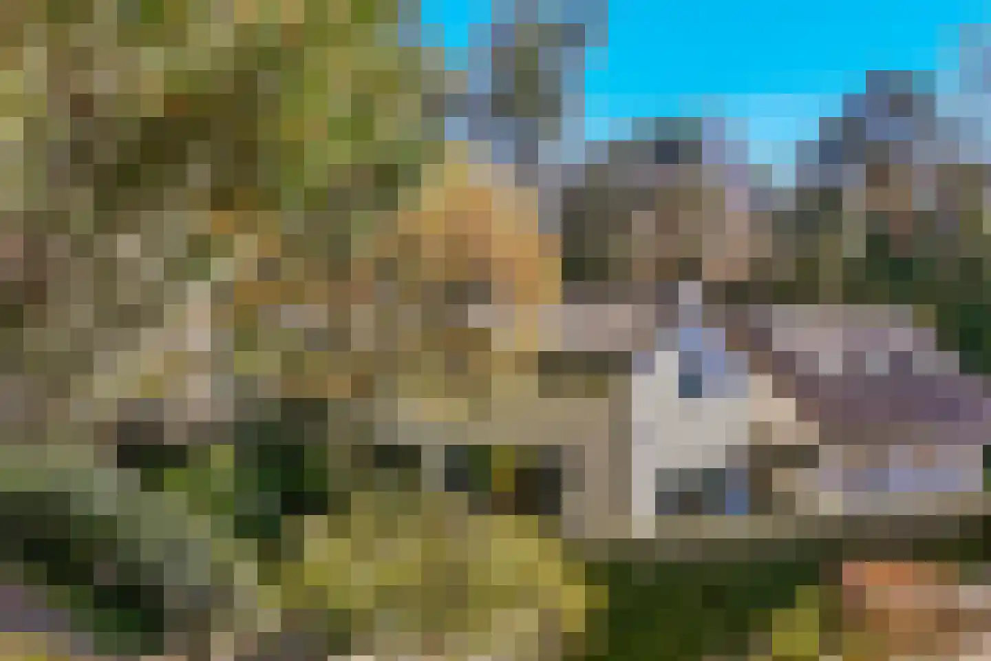 Torenlaan 6 Doorn thumbnail 64