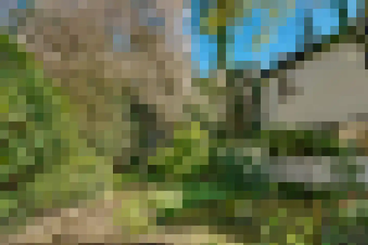 Torenlaan 6 Doorn thumbnail 66