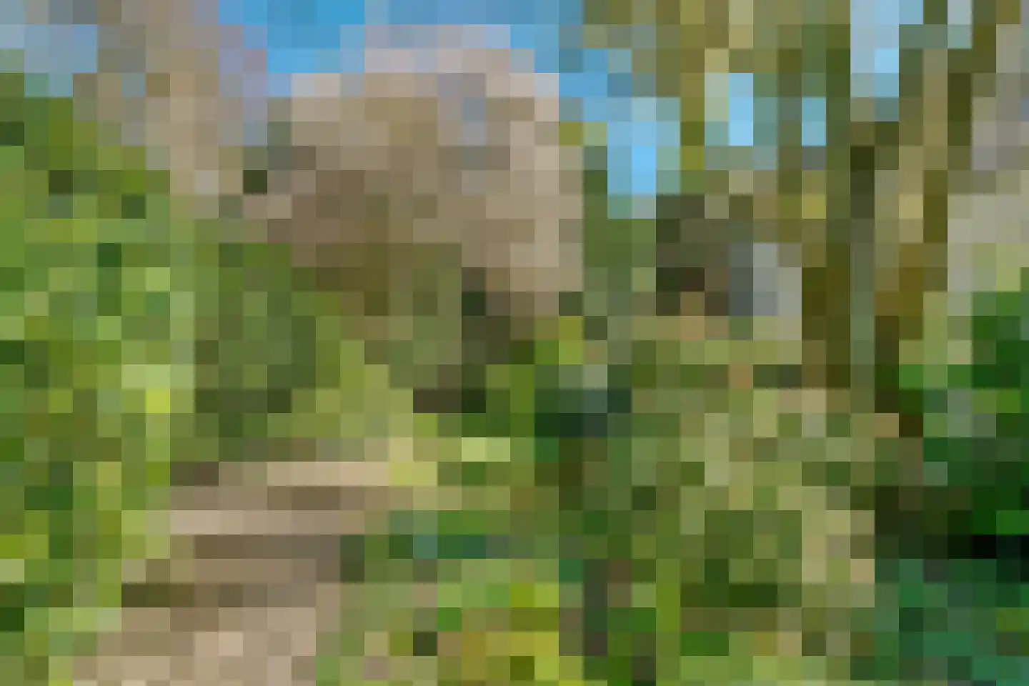 Torenlaan 6 Doorn thumbnail 67
