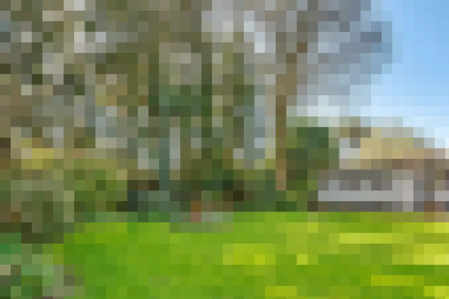 Torenlaan 6 Doorn thumbnail 74