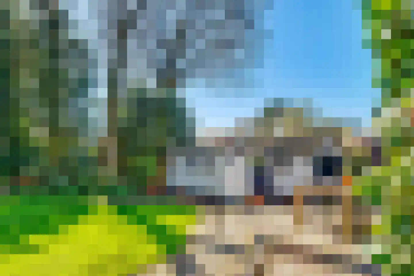 Torenlaan 6 Doorn thumbnail 75
