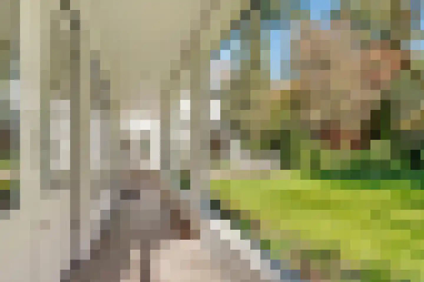 Torenlaan 6 Doorn thumbnail 78