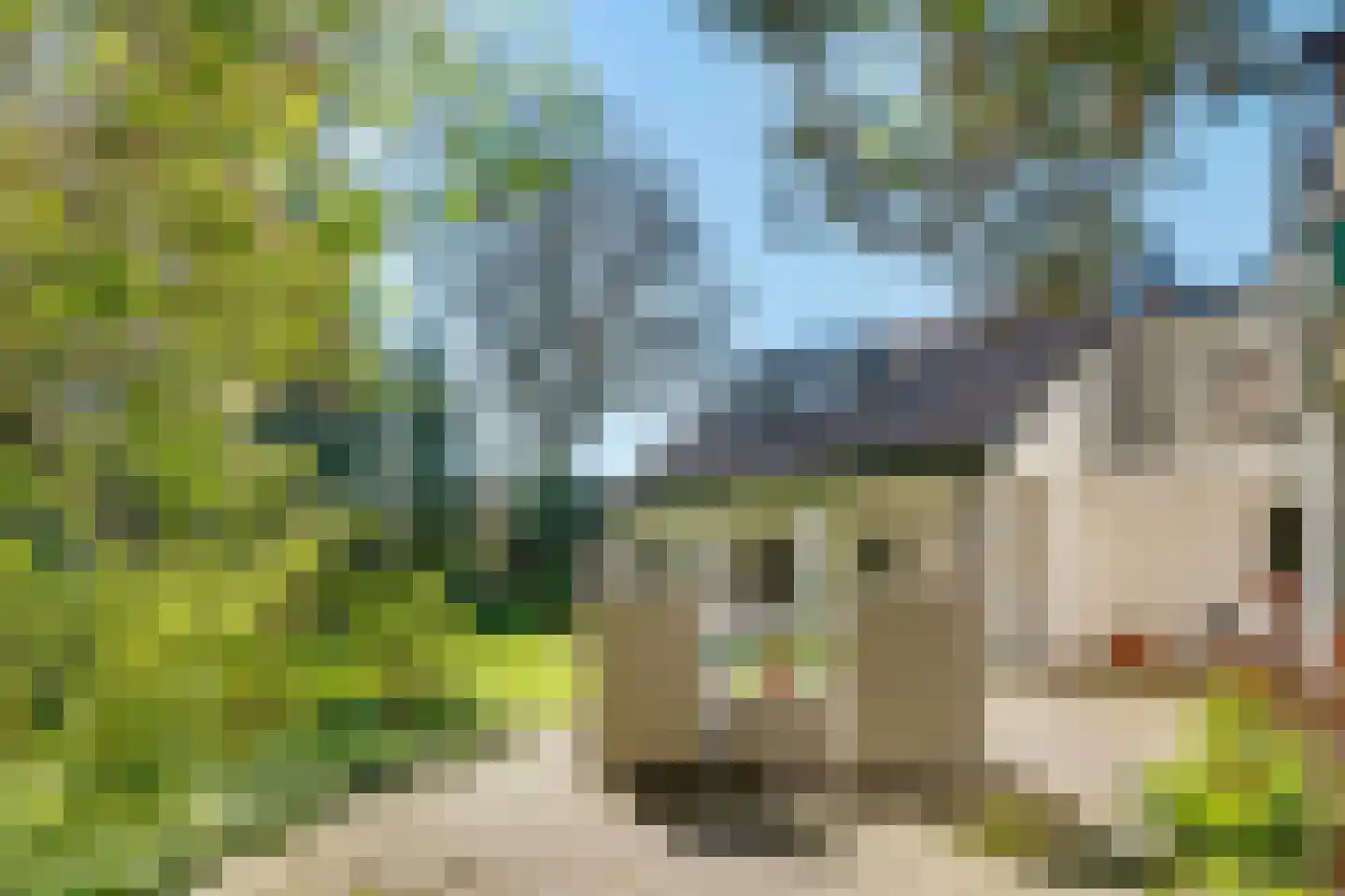 Torenlaan 6 Doorn thumbnail 80
