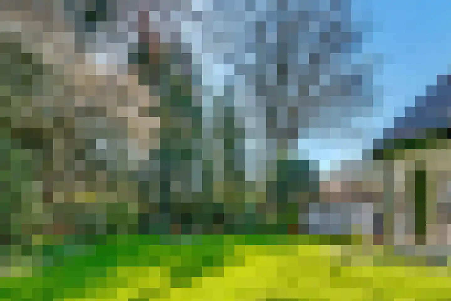 Torenlaan 6 Doorn thumbnail 82