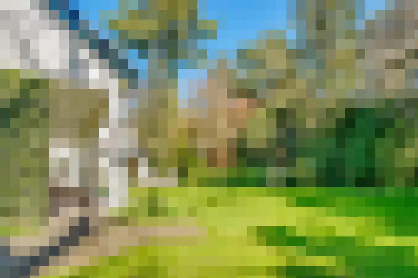 Torenlaan 6 Doorn thumbnail 84