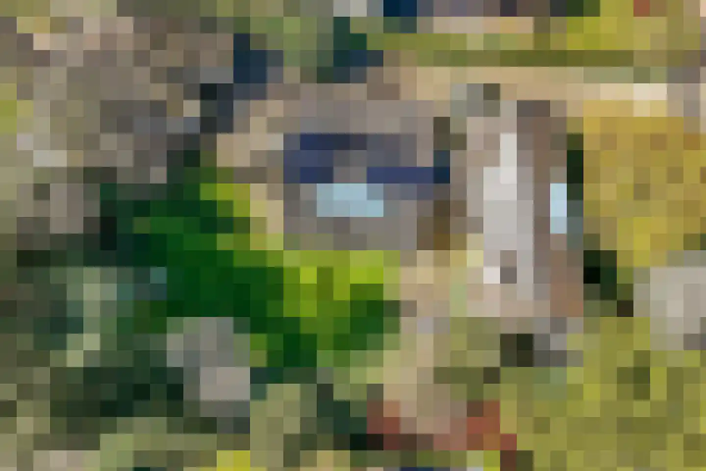 Torenlaan 6 Doorn thumbnail 85