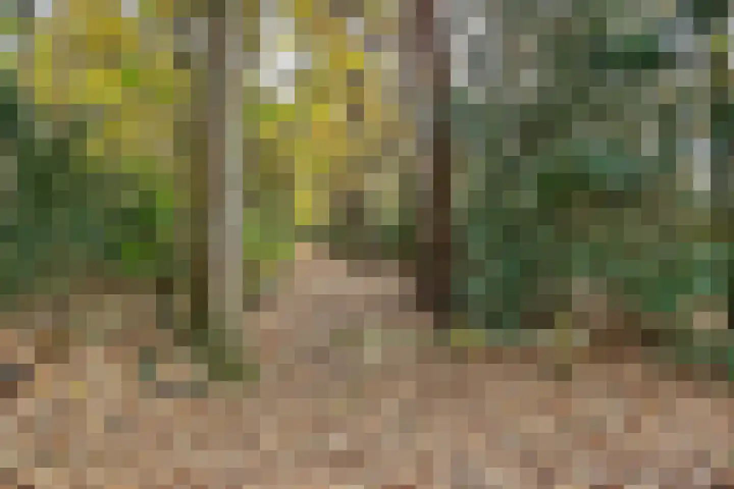 Torenlaan 6 Doorn thumbnail 87