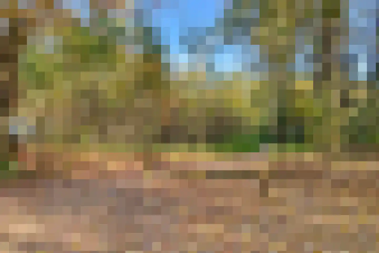 Torenlaan 6 Doorn thumbnail 88