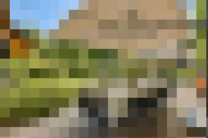 Torenlaan 60 Laren thumbnail 17