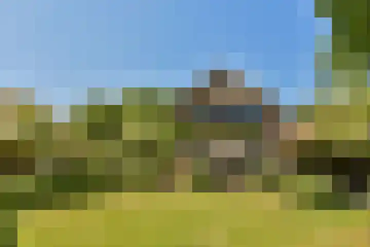 Torenlaan 60 Laren thumbnail 18