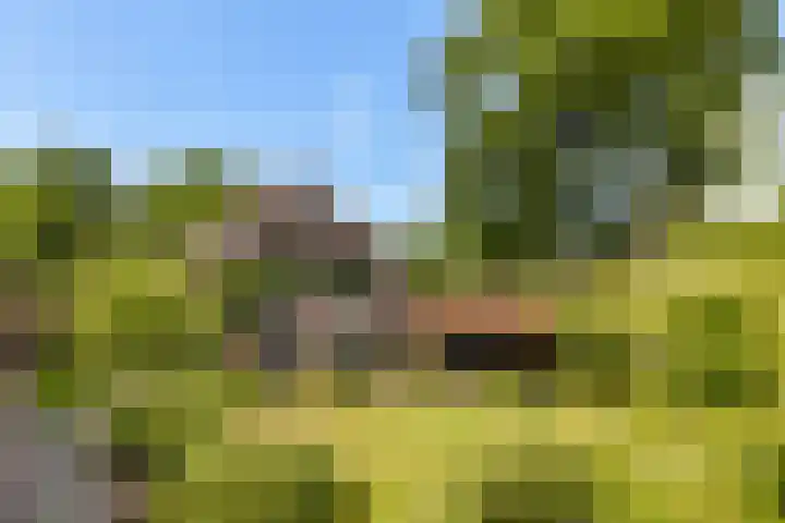 Torenlaan 60 Laren thumbnail 19