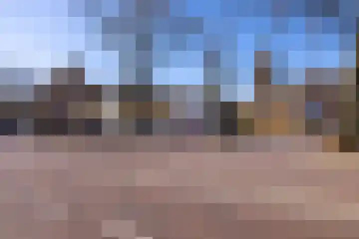 Torenlaan 60 Laren thumbnail 47