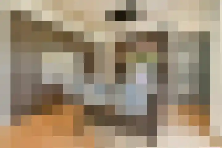 Torenlaan 60 Laren thumbnail 8