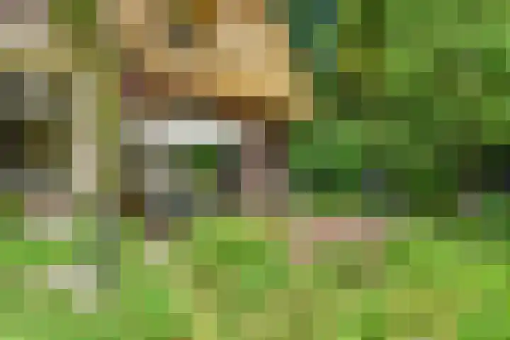 Torenlaan 61 Blaricum thumbnail 4