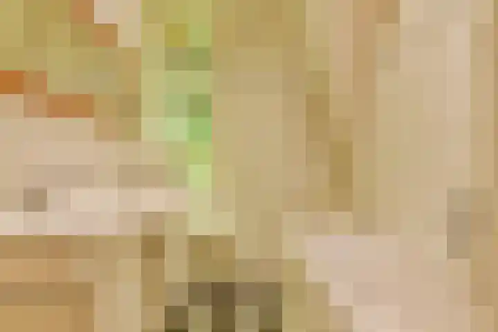 Torenlaan 61 Blaricum thumbnail 41