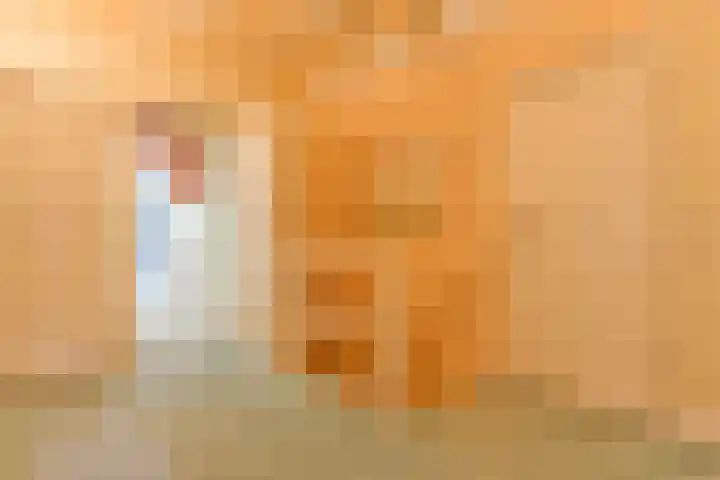 Torenlaan 61 Blaricum thumbnail 44