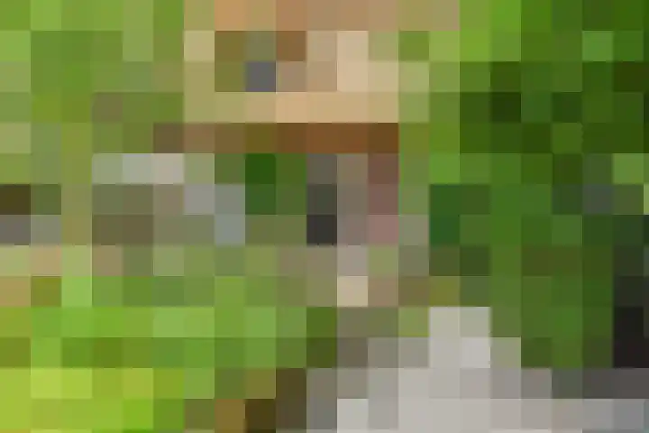 Torenlaan 61 Blaricum thumbnail 5