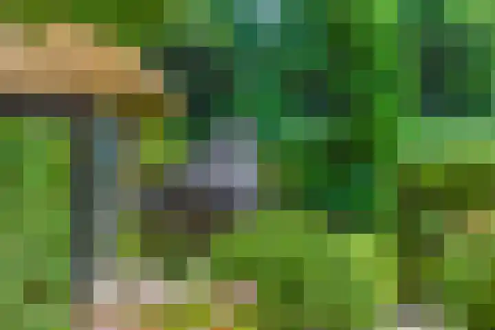 Torenlaan 61 Blaricum thumbnail 6