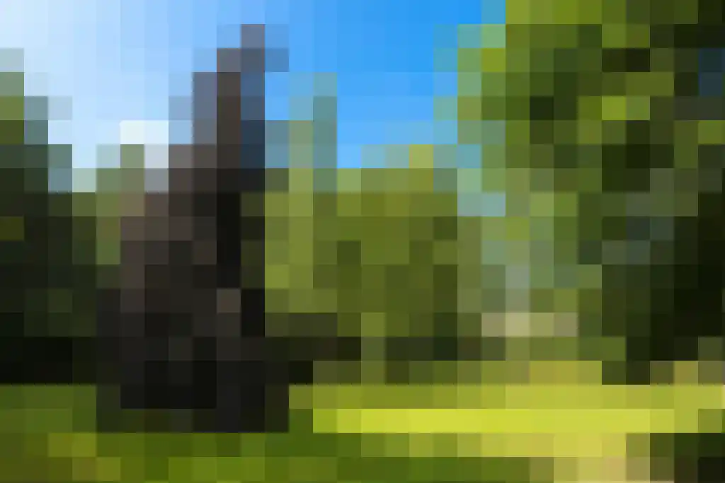 Torenlaan 64 Laren thumbnail 10