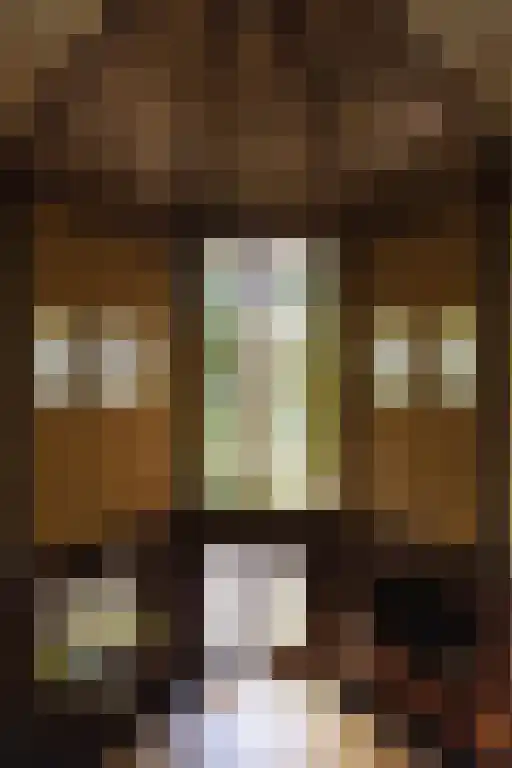 Torenlaan 64 Laren thumbnail 15
