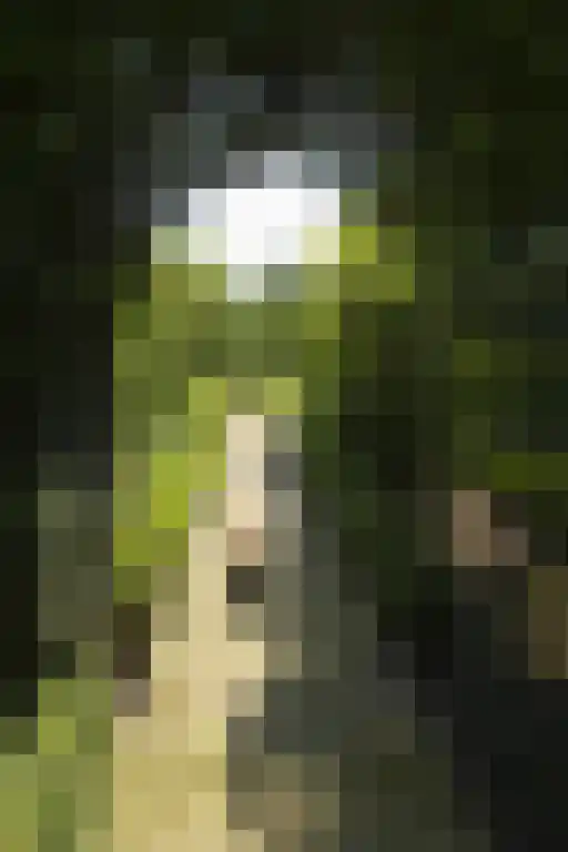 Torenlaan 64 Laren thumbnail 17