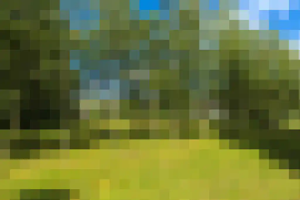 Torenlaan 64 Laren thumbnail 19