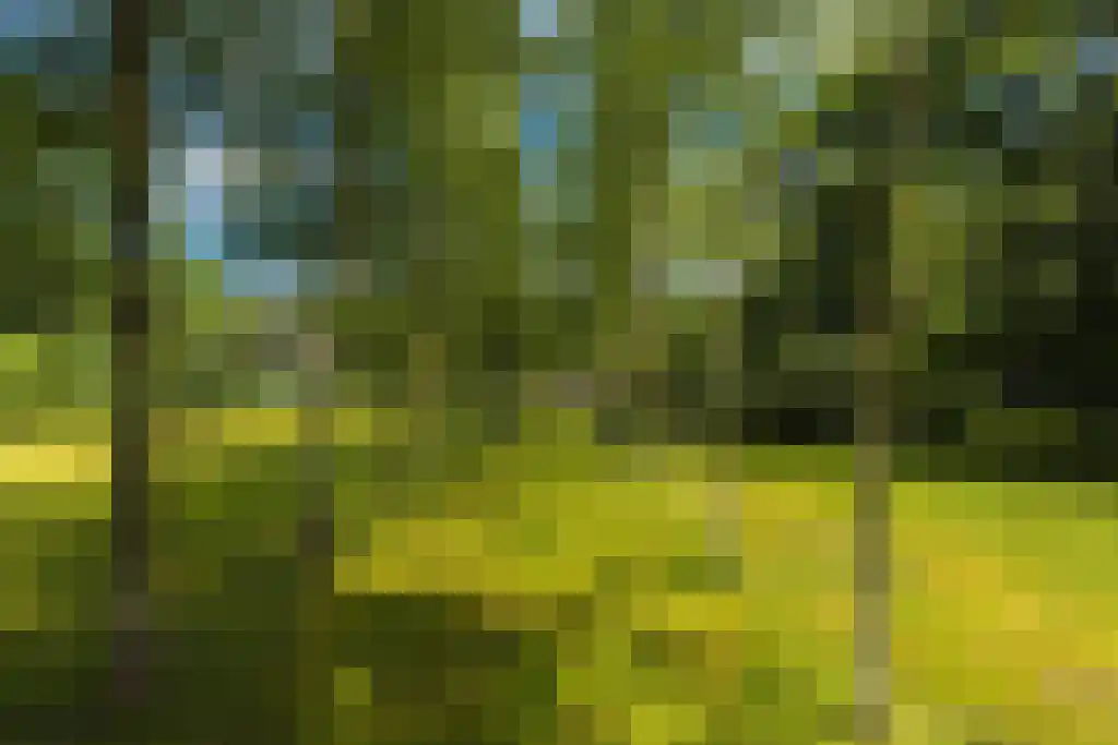 Torenlaan 64 Laren thumbnail 20