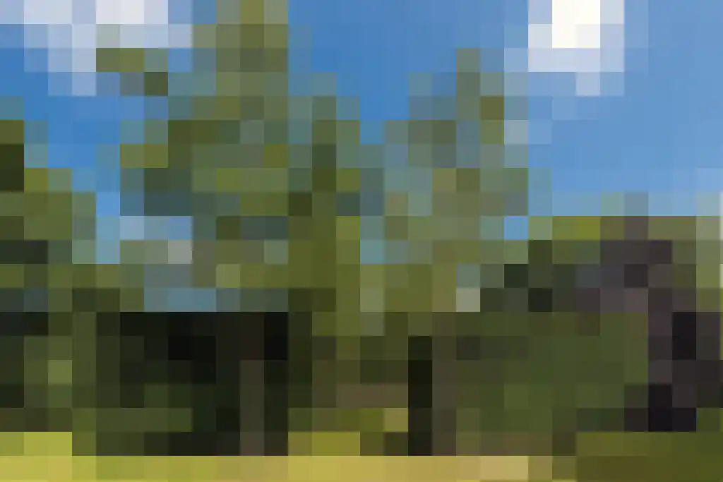 Torenlaan 64 Laren thumbnail 21